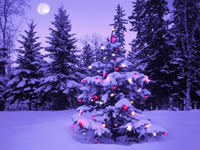 Albero di Natale