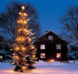 Immagini albero di Natale