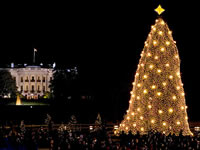 Immagini albero di Natale