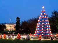Immagini albero di Natale
